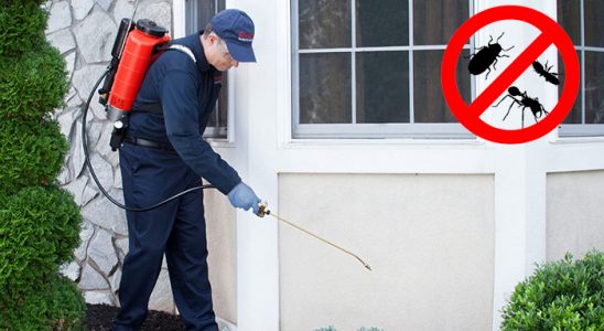 Kulp Karınca İlaçlama böcek ilaçlama ve haşere kontrolü — ilaclama-tr.com